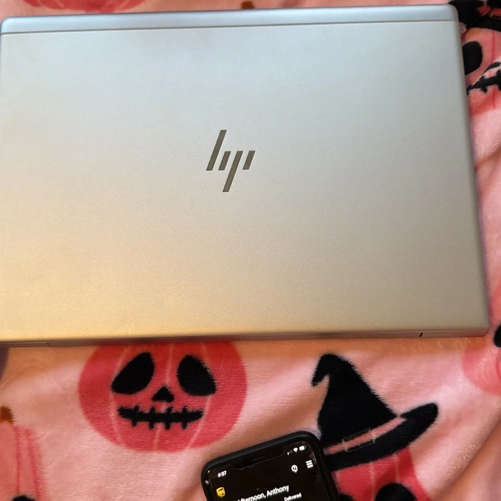 Hp elitebook 745 g6 14” laptop 250 gb memory, factory mode and like brand new